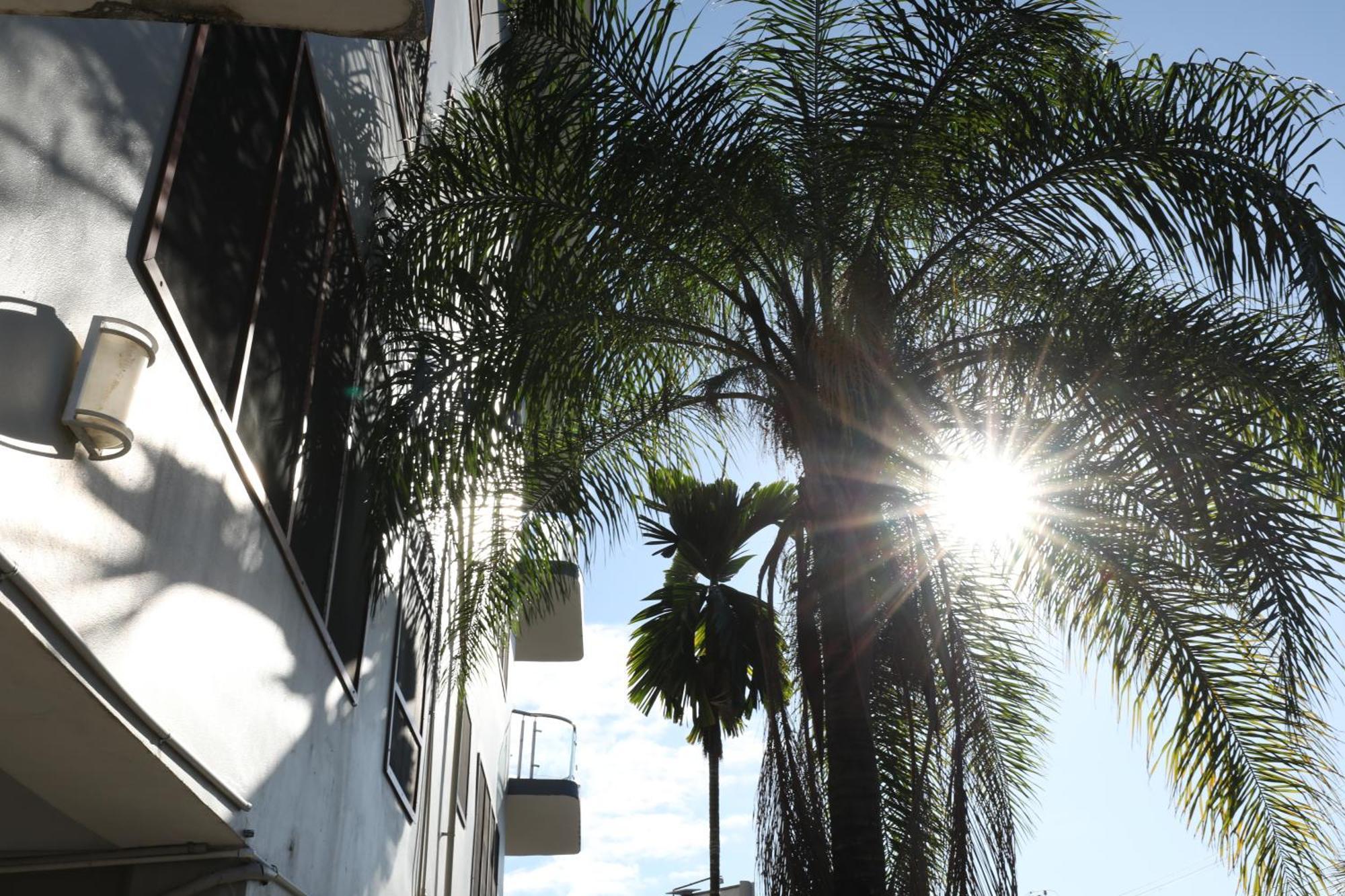 Tropical Plaza Apt ナンディ エクステリア 写真